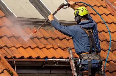 Démoussage et hydrofuge de toiture à Mortemart